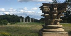 alte Saeulen-Capitol Columns Arboretum